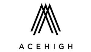 株式会社ACEHIGH様ロゴ